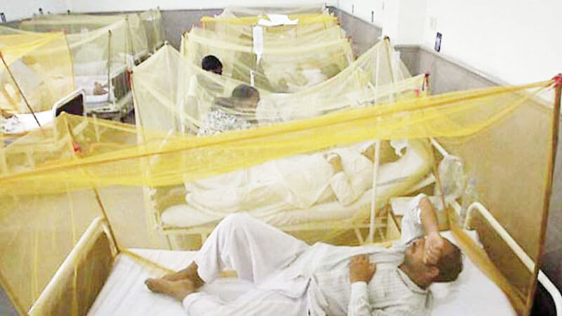 people suffering from dengue hospitalized