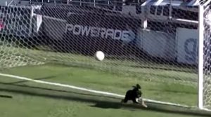 dog saves goal, dog saves goal viral video, dog blocks goal, goal viral