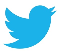 Twitter Account Management